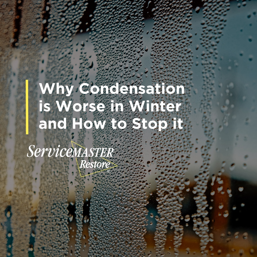 Condensation Issues Why Condensation is Worse in Winter and How to Stop it - ServiceMaster ...